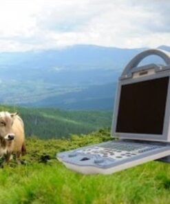 kx5600v vet ultrasound machine