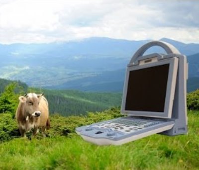 kx5600v vet ultrasound machine