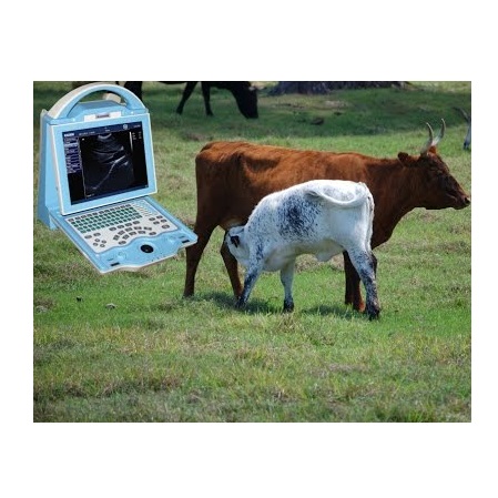 kx5600v vet ultrasound machine - Image 3