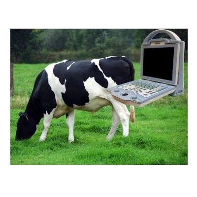 kx5600v vet ultrasound machine - Image 2
