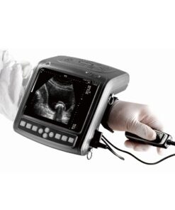 kx5200 vet big animal ultrasound scanner