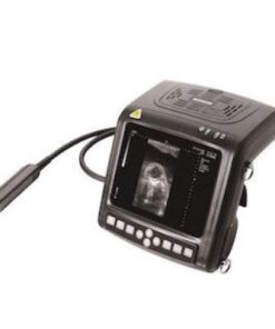 Alternative view of kx5200 vet big animal ultrasound scanner