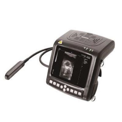 kx5200 vet big animal ultrasound scanner - Image 2