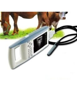 kx5100 vet big animal ultrasound scanner