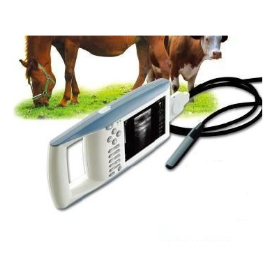 kx5100 vet big animal ultrasound scanner