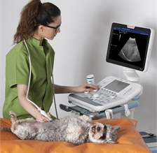 Alternative view of small animal ultrasound scanner