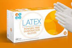 Latex Powder-Free Examination Gloves