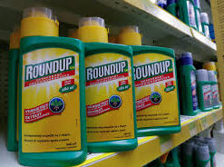 roundup 20 litre price