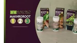 Go Organic, Plant Food, Makhro, 200ml