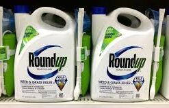 roundup 1 litre price