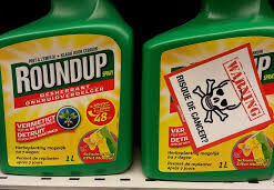 Efekto - Roundup RTU Herbicide - 5 Litre