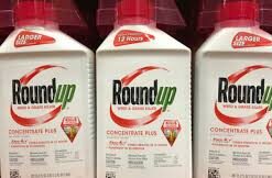 Bulk glyphosate herbicide