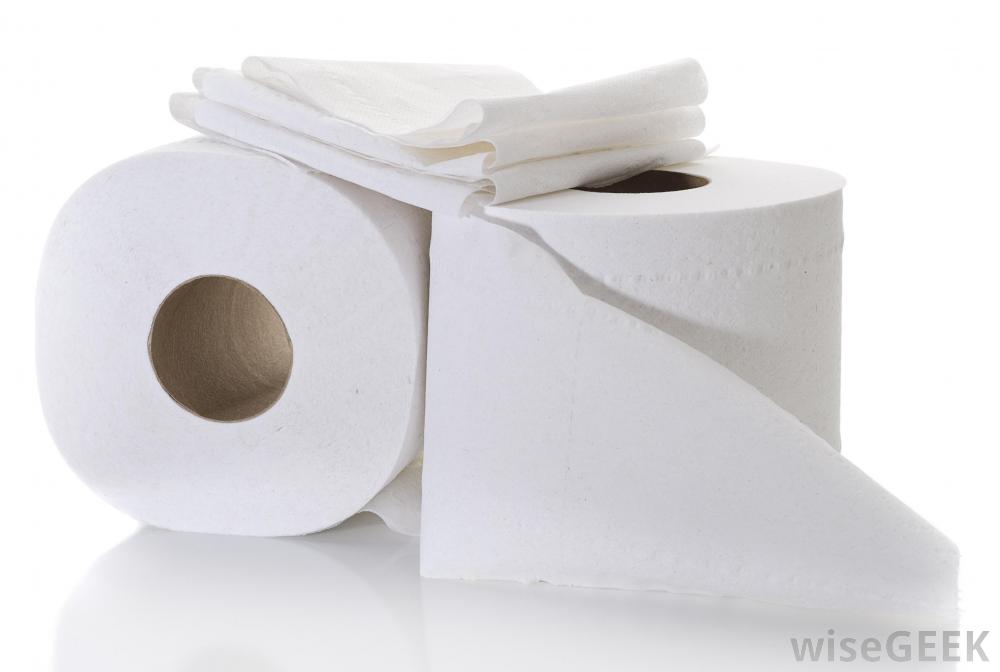 brown paper towel rolls