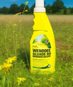 active ingredient - paraquat dichloride 200 g/l