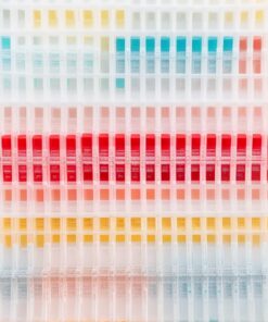 genesig real-time pcr coronavirus (covid-19) ce ivd