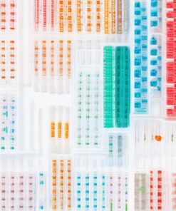 labgun covid 19 real time pcr test kit