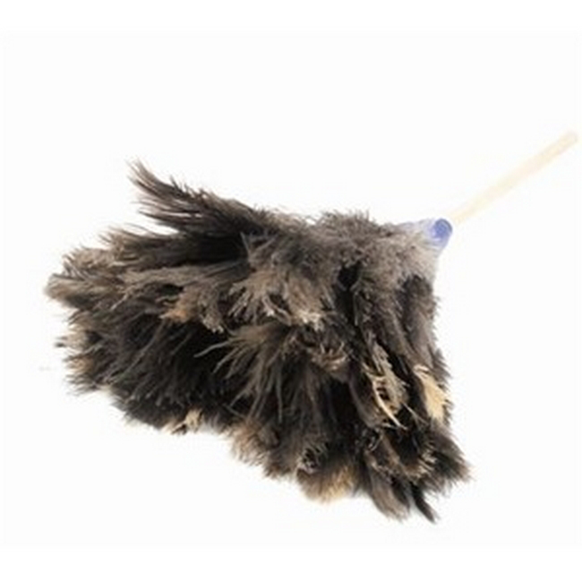 Feather Duster - Genuine Ostrich Feathers - Small Head - 45cm - Pack of 5 - F9000