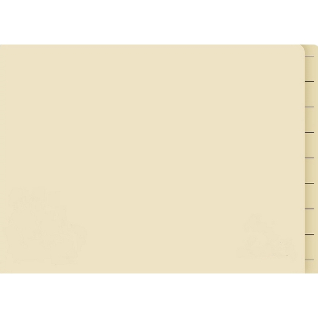 Lateral Document Files - Foolscap - Medium Weight - 190gsm - Pack of 200 - FILLMW200