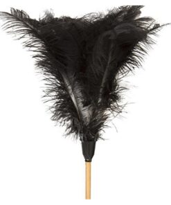 Feather Duster - Short - 460mm