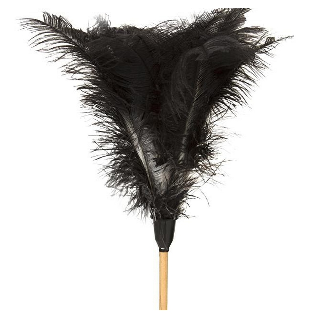 Feather Duster - Long -1840mm