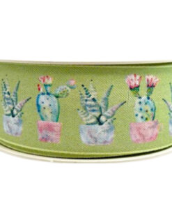 Ribbon – Cactus Green 38mm x 15m