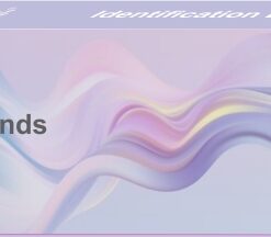 Identification Bands Adult – 100s Blue