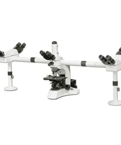 Microscope Multi-Head BS-2080MH10