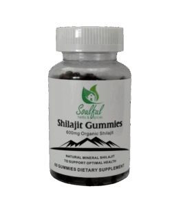 Shilajit Gummies (60) X 2