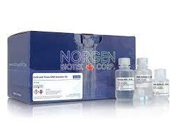 Alternative view of cell DNA isolation kit