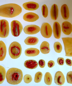 Wound Simulation Kit