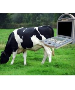 Alternative view of Import placeholder for 53556
