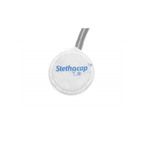 Complete Cat Cove Dome Paw Print