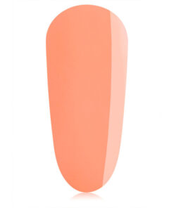 Import placeholder for 50242