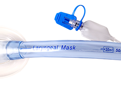 Import placeholder for 53291