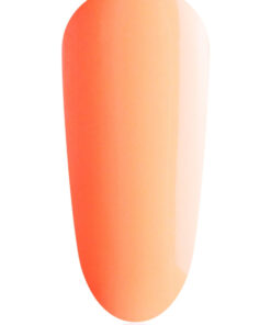 Import placeholder for 49817