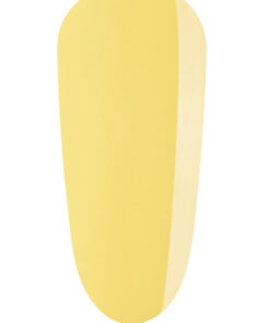 Import placeholder for 50593