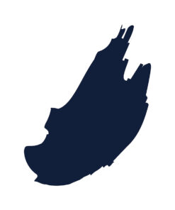Alternative view of Import placeholder for 42753