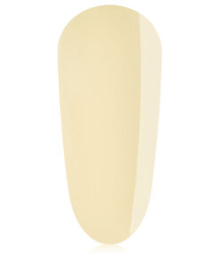 Import placeholder for 43501