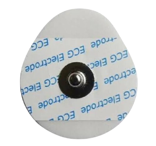 Import placeholder for 42929