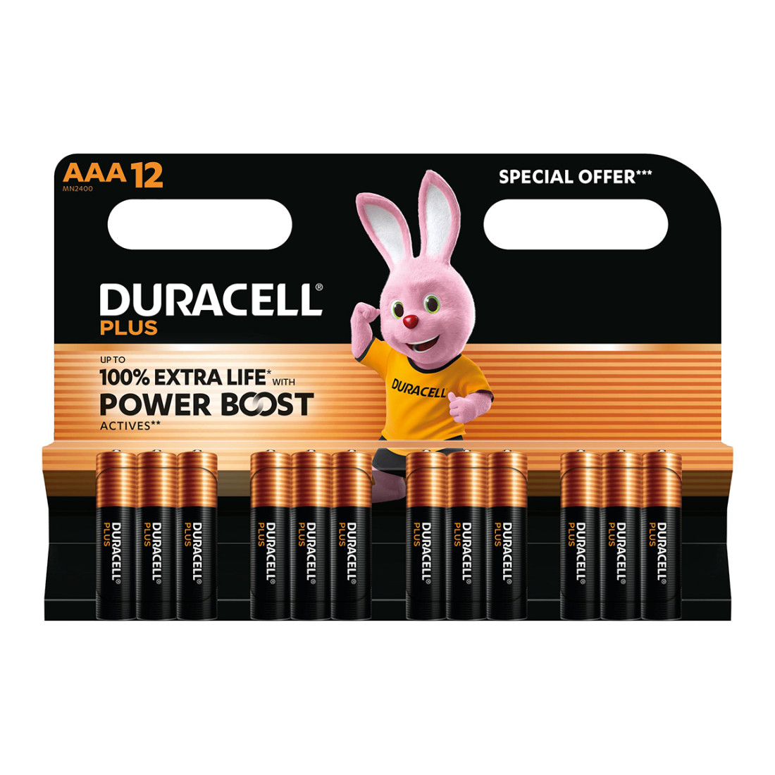 Duracell Battery Plus Alkaline Aaa 12 Pack